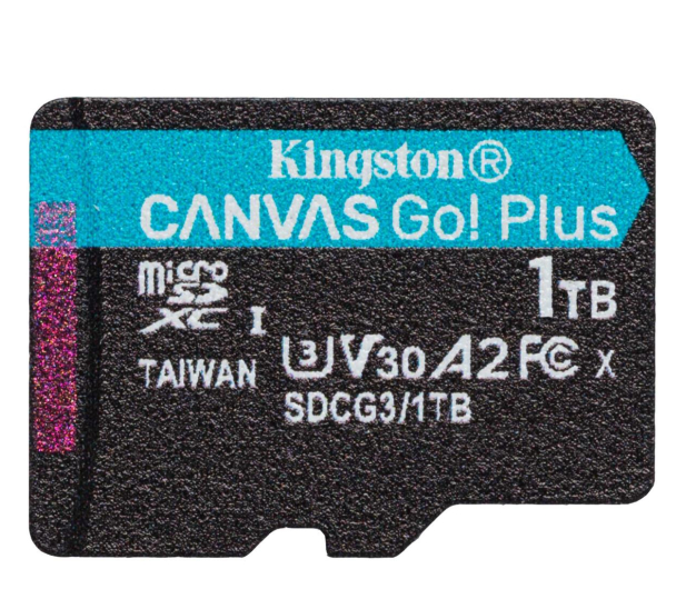 Kingston 1TB Canvas Go! Plus 170MB/90MB (odczyt/zapis) - 1238972 - zdjęcie